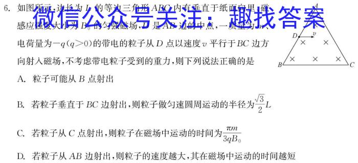 贵州省贵阳第一中学2024届高考适应性月考卷(五)(白黑白黑黑白白)物理试卷答案