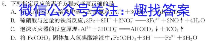 [岳阳一模]岳阳市2024届高三教学质量监测(一)数学