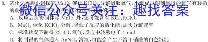 q2024年陕西省初中学业水平考试全真模拟卷（六）化学