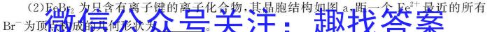 炎德英才大联考2024年普通高等学校招生全国统一考试考前演练四化学