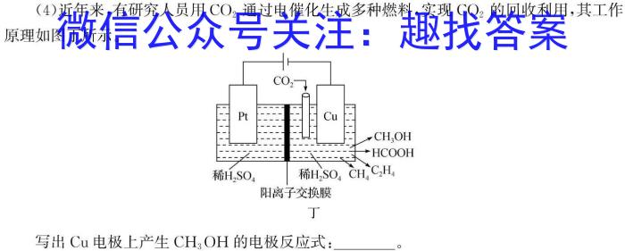 2024年河南省初中学业水平考试全真模拟试卷(二)化学
