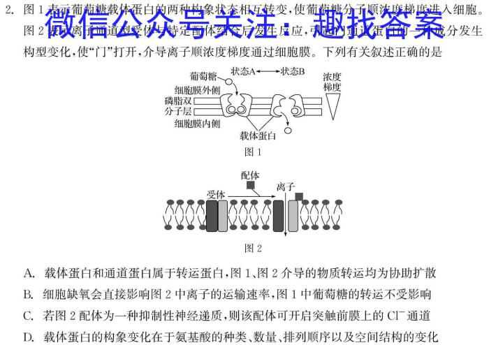 2024年陕西省初中学业水平考试(SX7)生物学试题答案