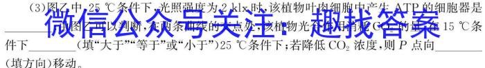 2024届吉林省高三第九次月考(24067C)英语