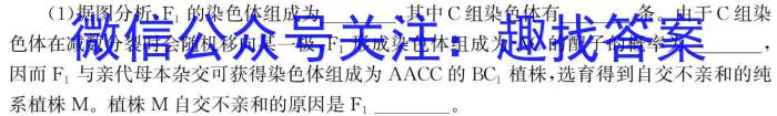 湖南省2024年普通高中考试模拟信息卷(学业水平考试)(压轴卷)数学