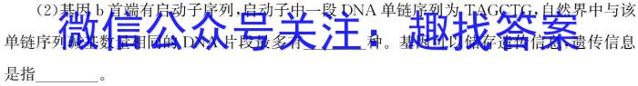 Z20名校联盟（浙江省名校新高考研究联盟）2025届高三第一次联考数学