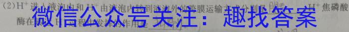 安徽省2024年中考总复习专题训练