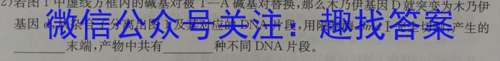 2024届四川省六市二诊(眉山 自贡 遂宁 广安 雅安 广元)生物学试题答案