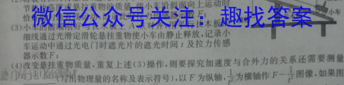 安徽省2024年九年级教学检测(CZ118c)f物理