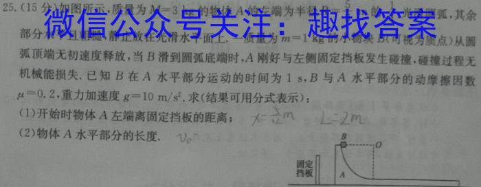 名校计划 2024年河北省中考适应性模拟检测(仿真一)物理`