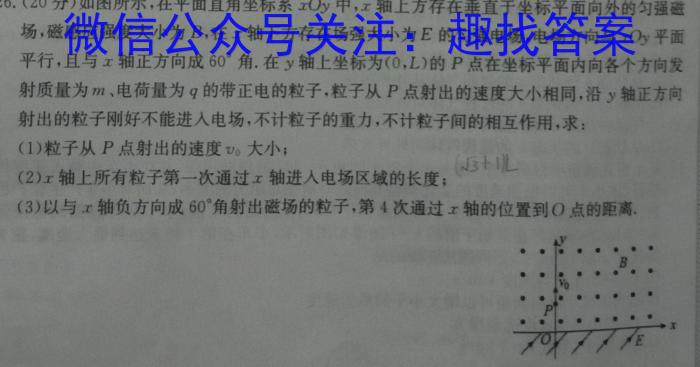 ʡ2024-2025ѧ꼶12¿ޱ⣩xԾ