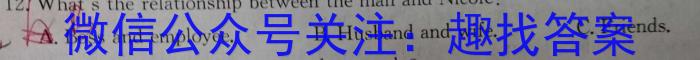 鼎成原创模考·2024年河南省普通高中招生考试命题信息卷（三）英语