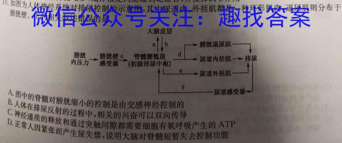 益卷 2024年陕西省普通高中学业水平合格考试信息卷生物