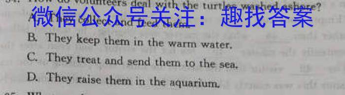 啄名小渔·河北省2025届高三年级11月阶段调研检测二英语