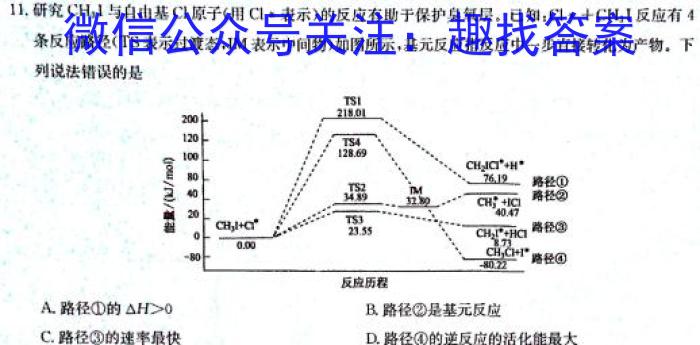 q山东省长清区2024年下学期九年级阶段检测化学