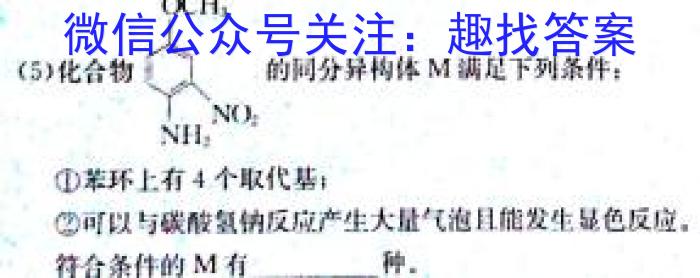 3九师联盟·2024届高三2月质量检测（L）化学试题