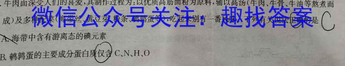 Z20名校联盟（浙江省名校新高考研究联盟）2025届高三第一次联考化学