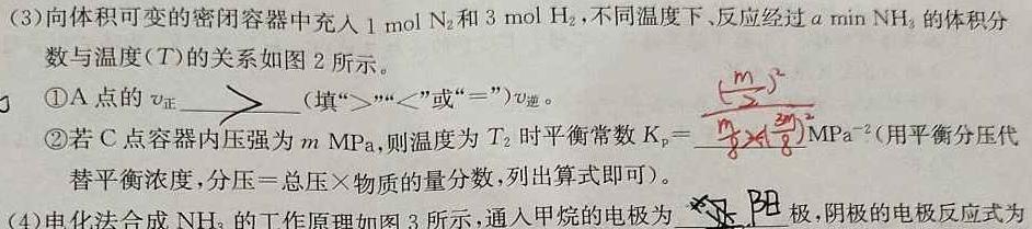 【热荐】安徽省2024届九年级下学期第五阶段评估化学