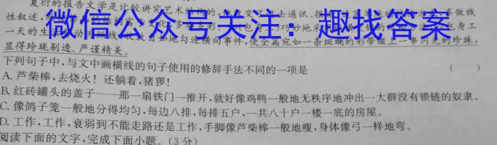 2024年湖南省普通高中学业水平合格考模拟卷(一)语文