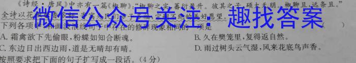 安徽省泗县2023-2024学年度第二学期八年级期中质量检测语文