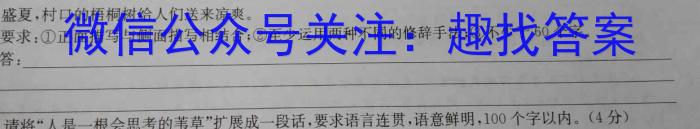 2025届全国高考分科模拟调研卷·(四)4语文