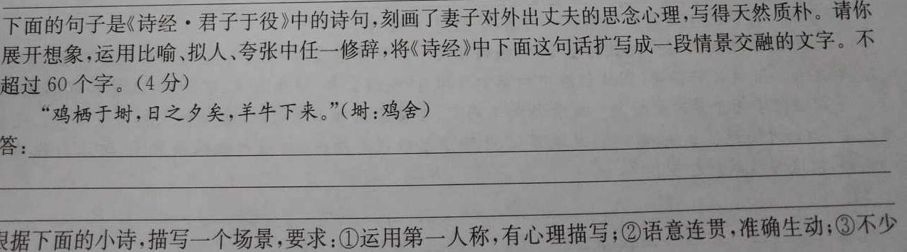 [今日更新]河南省2023-2024学年度八年级期末模拟（八）语文试卷答案