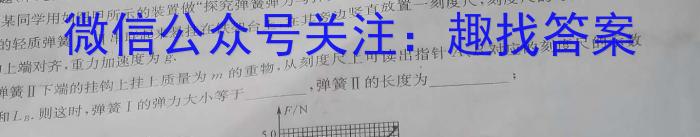 河南省2023-2024学年第二学期八年级阶段教学质量检测试卷物理试题答案