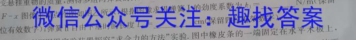 安徽省2023-2024八年级(无标题)(WJ)h物理
