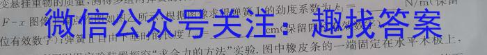 2024届桂柳文化 高三桂柳鸿图信息冲刺金卷(二)物理`