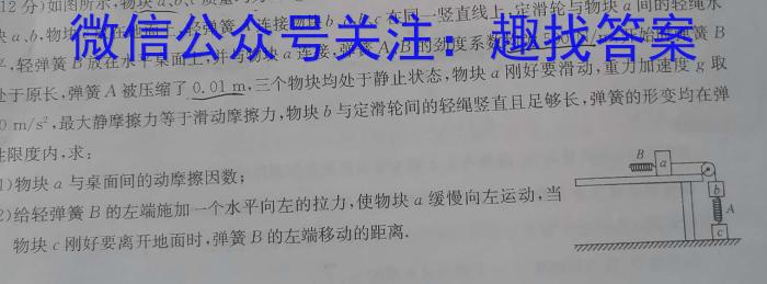 河北省2024年九年级4月模拟(四)物理`