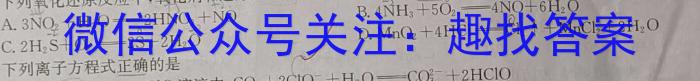 【精品】河北省2024年初中毕业年级质量监测化学