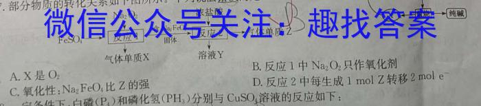 浙江省L16联盟2024年高三返校适应性测试化学