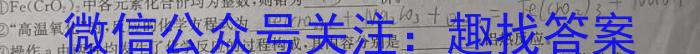 q陕西省咸阳市永寿县中学2024年高三质量检测卷(24474C)化学