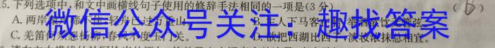 炎德英才大联考 长沙市第一中学2023-2024学年度高一第二学期开学自主检测语文