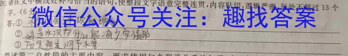 2023-2024年池州名校学校九年级下学期开学考语文