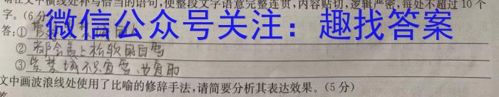 山西省2023-2024学年度第二学期初一素养形成期末测试语文