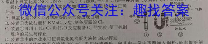 安徽省亳州市利辛县2024-2025学年第一学期利辛四中八年级开学考试化学