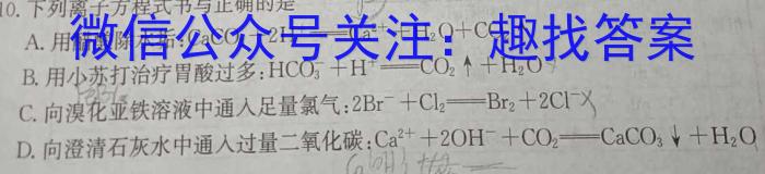 [新余二模]江西省2023-2024学年度高三第二次调研考试化学