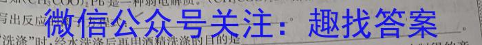 3湖南天壹名校大联考 2024年上学期高二3月大联考(3月)化学试题