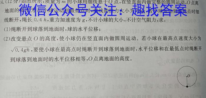 鼎成大联考2024年河南省普通高中招生考试（二）物理
