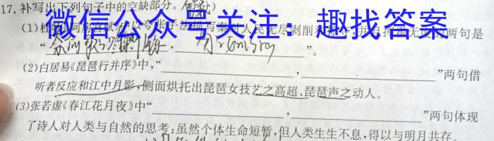 吉林省吉林市第九中学2024-2025学年上学期九年级期初质量检测语文