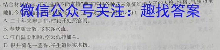 江西省2024年初中学业水平考试样卷试题卷（七）语文