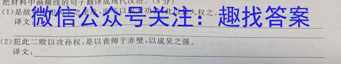 福建省泉州市2024届高三3月质量检测/语文