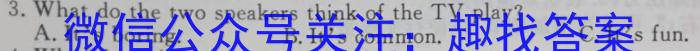 2024年河南省中考信息押题卷(三)3英语