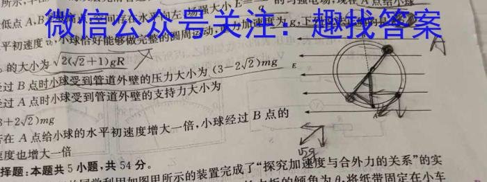 江西省2024年九年级中考总复习模拟卷（二）物理`