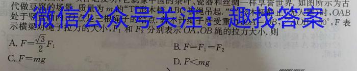 炎德英才大联考 长沙市一中2025届高三月考试卷(一)1物理试卷答案