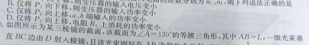 洛阳一高2024-2025学年度高二（上）开学摸底考(物理)试卷答案