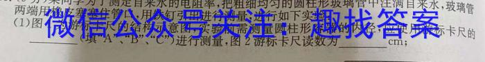 2024届陕西省九年级教学素养摸底测评(5L-SX)物理试卷答案