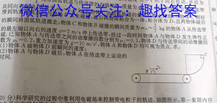 青桐鸣2024年普通高等学校招生全国统一考试 青桐鸣押题卷一物理试卷答案