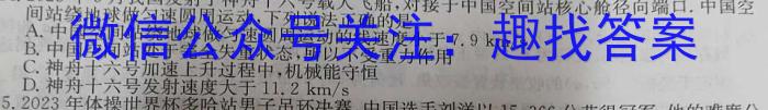 2025届浙江强基联盟2024年8月高三联考(25-06C)物理试卷答案