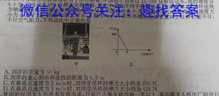 2024届浙江七彩阳光联盟高三联考l物理